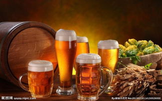 电子产品、化妆品、日用品进口香港代理与深圳物流清关运输指南